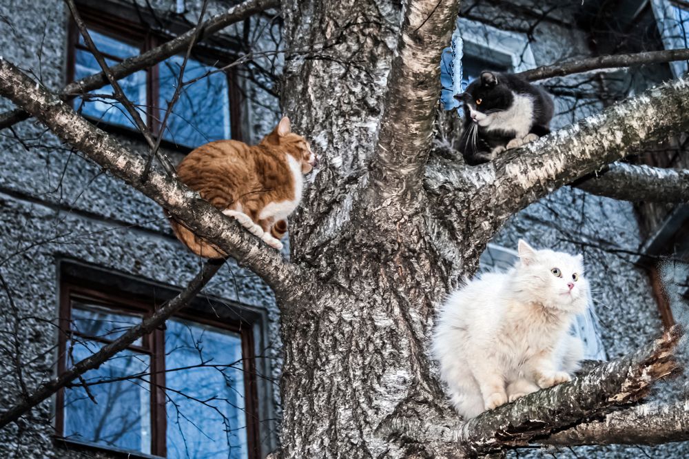 Photograph by Ирина Архипова