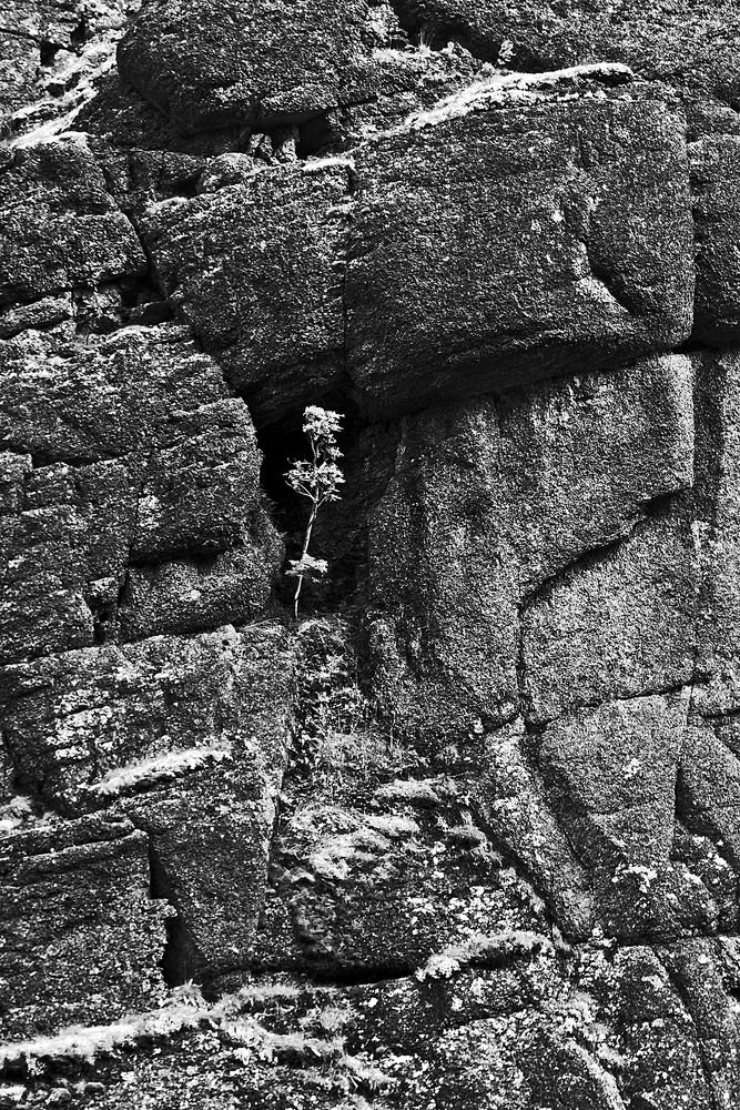 Средь камней