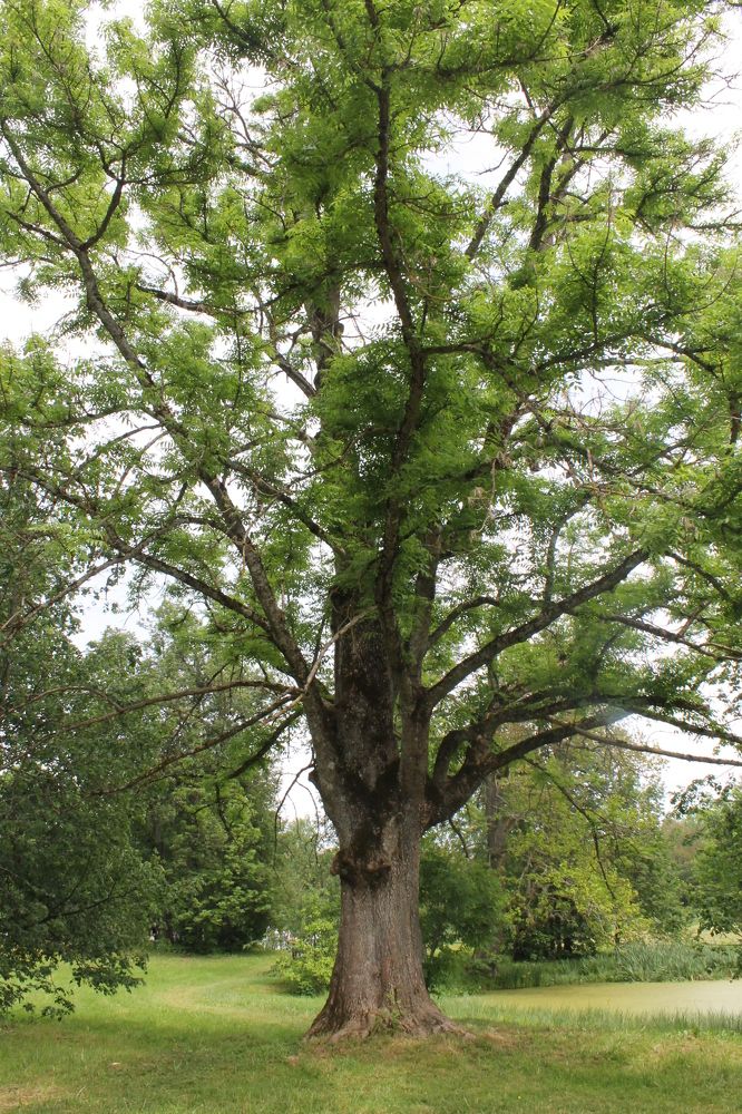 Photograph by Любовь