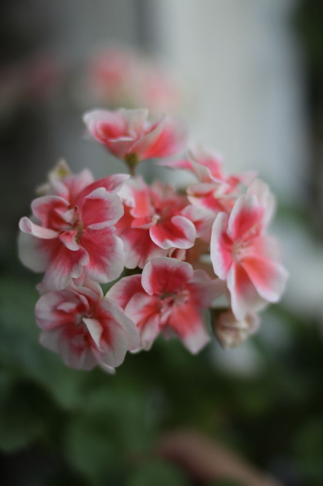 Photograph by Anna Emelyanova