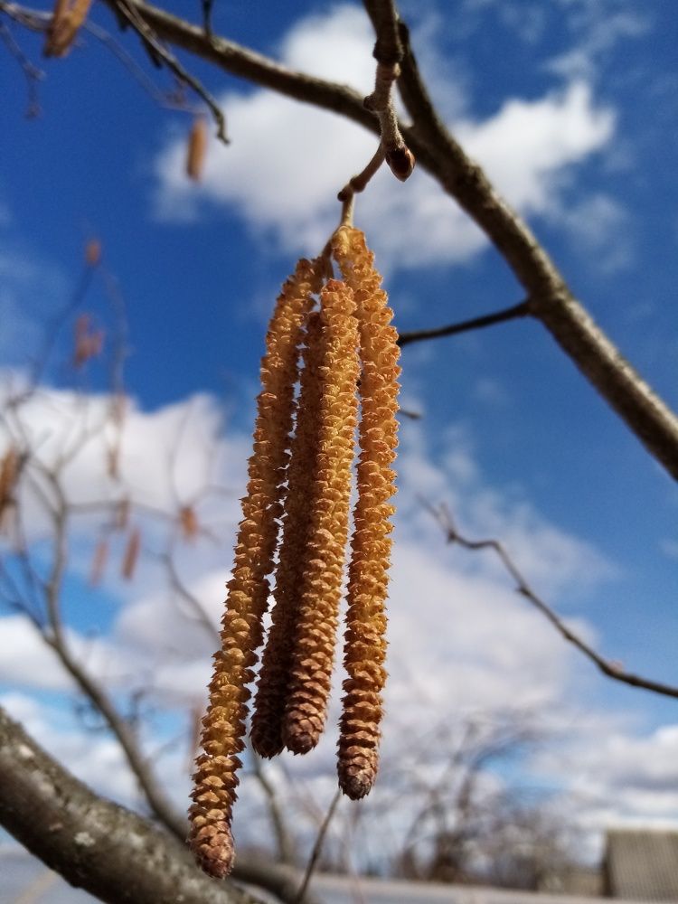 Photograph by Ася Батурина
