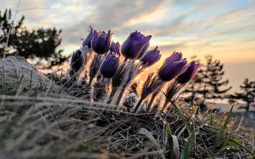 Photograph by Илья Юфа