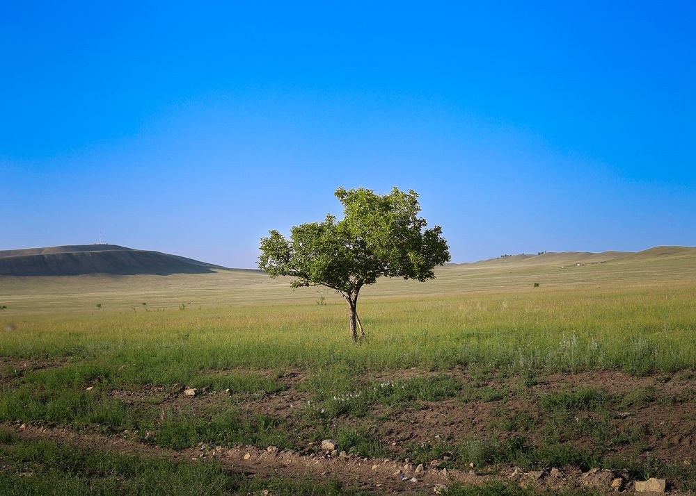 Фотография автора Галина Аверьянова