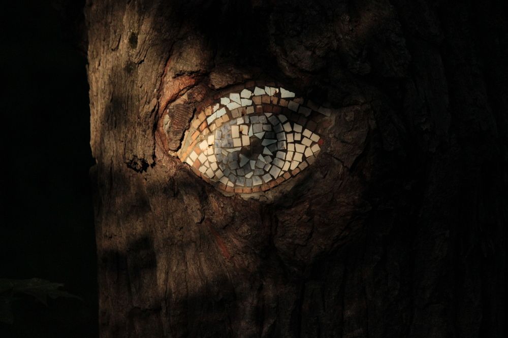 Photograph by Екатерина