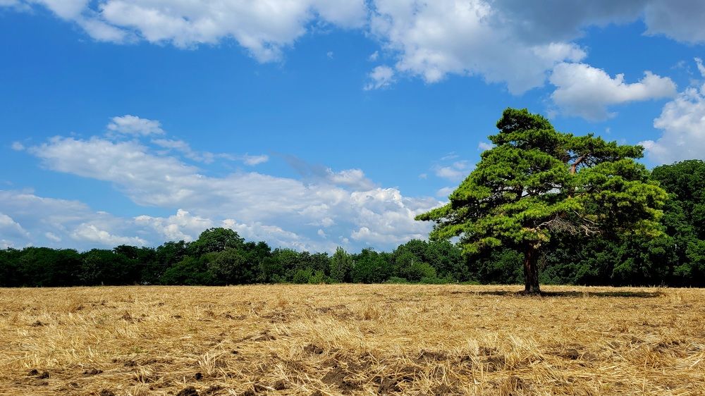Photograph by Максим Сундеев