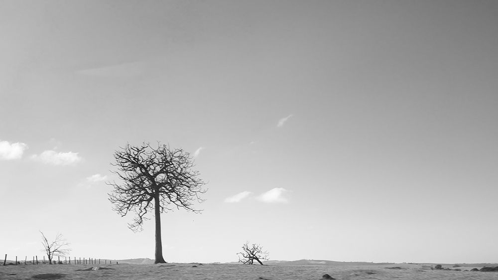 Photograph by adriana menez