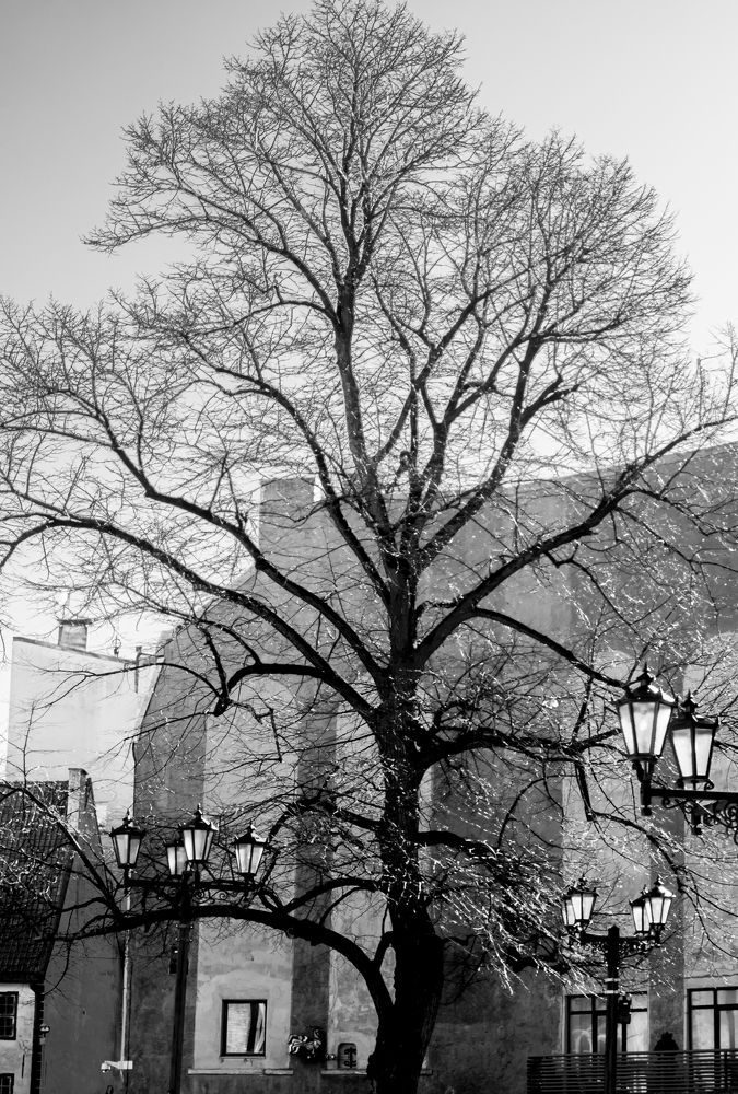Photograph by 