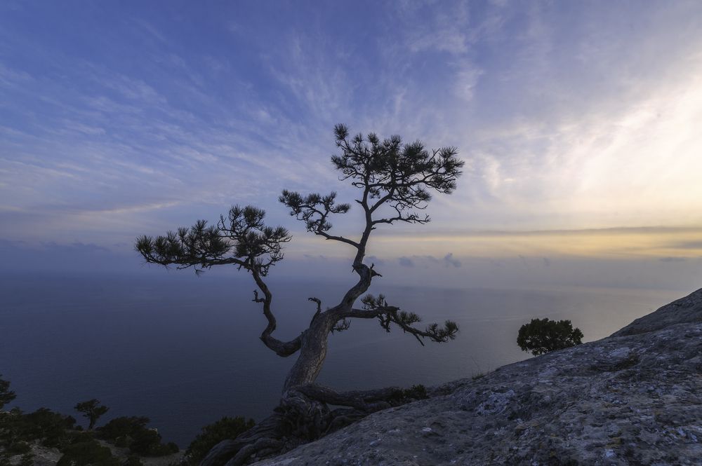 Photograph by Светлана Андреева