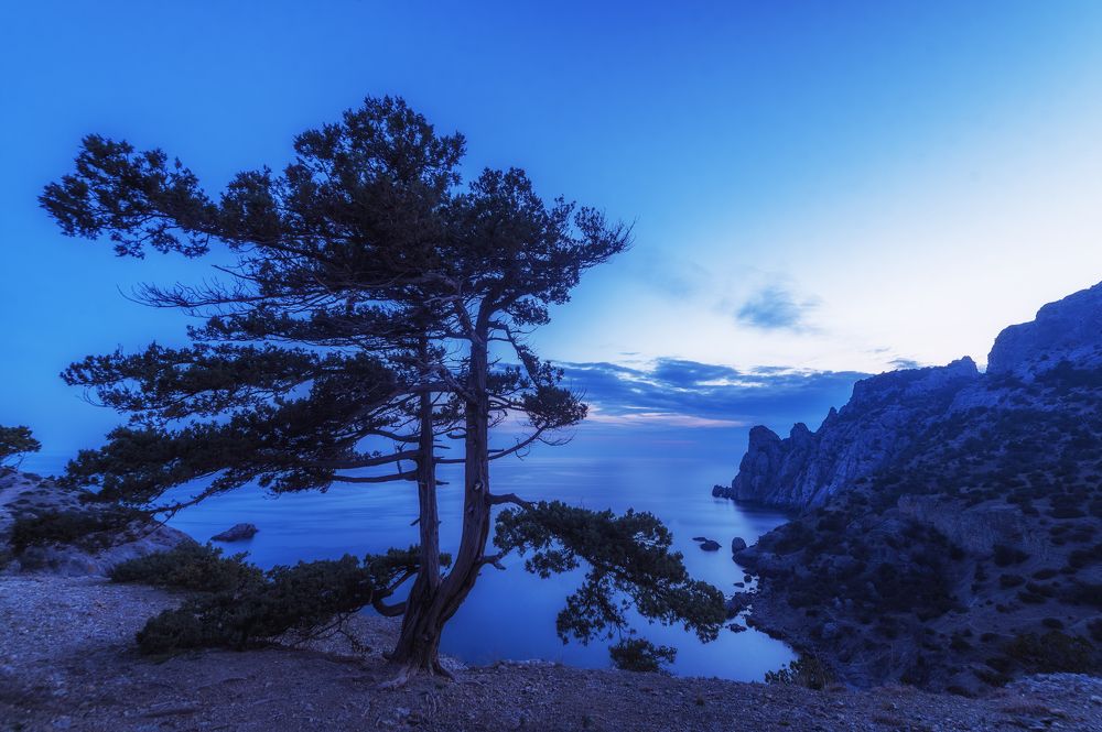 Photograph by Светлана Андреева