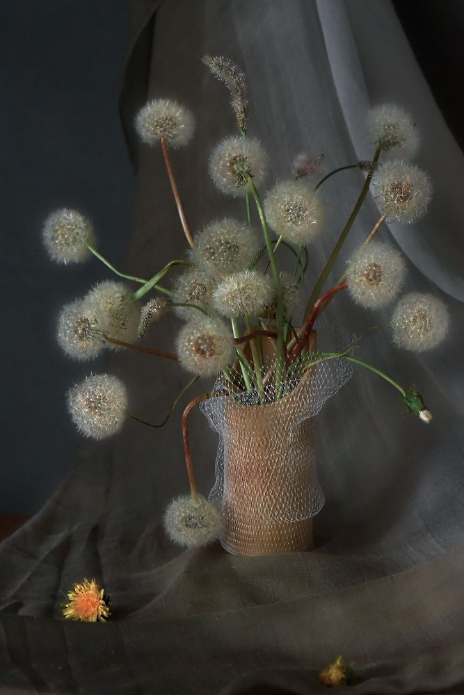 Photograph by Olga Akhmetova