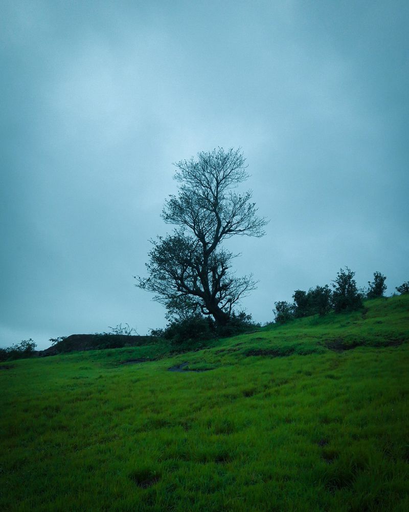 Photograph by Chaitanya joshi