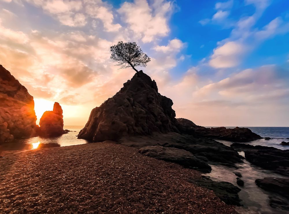 Photograph by Ivars Andrups