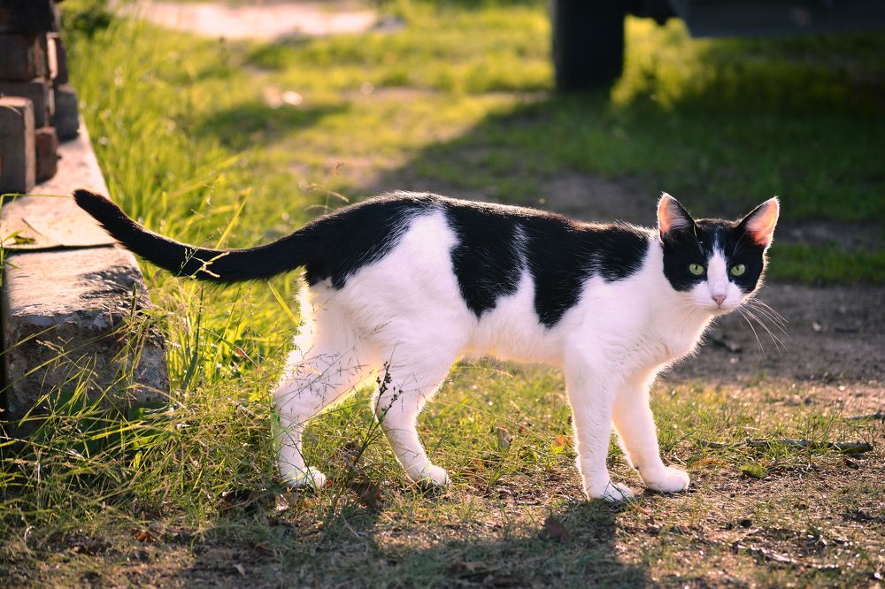 Фотография автора Василиса Пушкарева