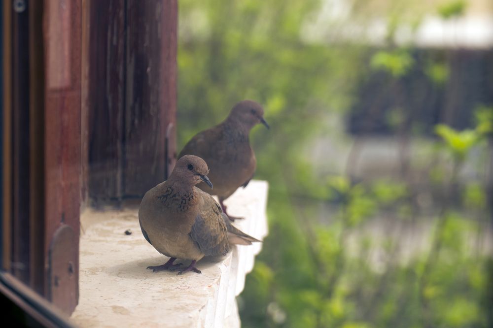 Photograph by Антон Шаркас