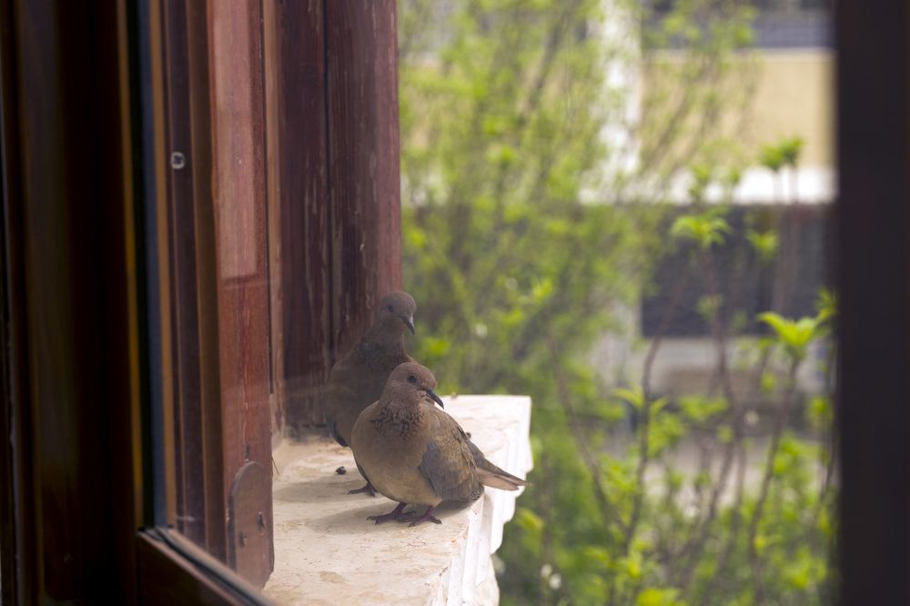 Photograph by Антон Шаркас