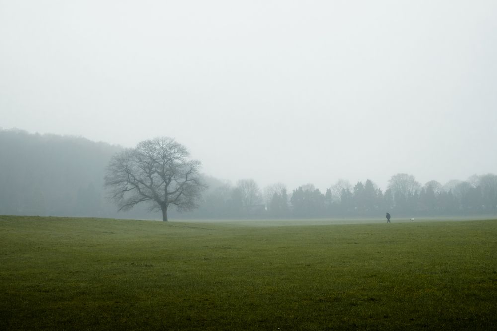 Photograph by Дьяченко Алёна