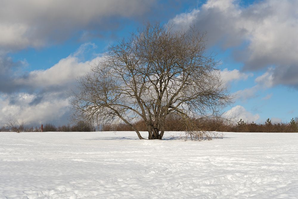 Photograph by Виктория Лаврова