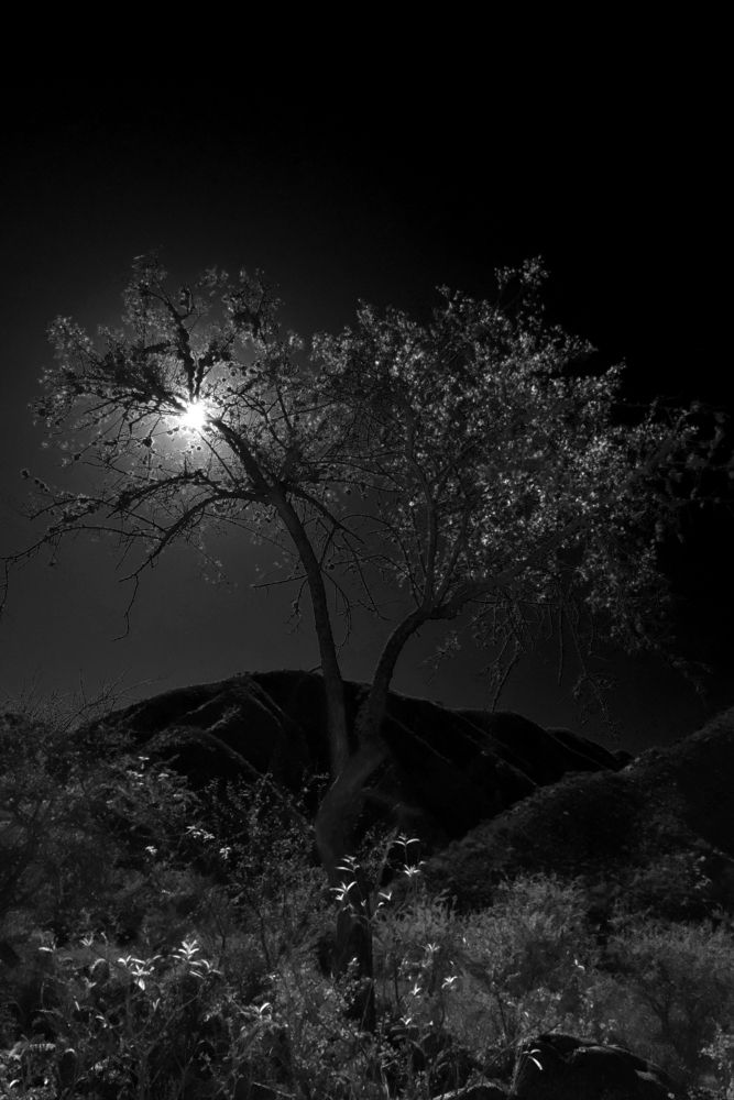 Фотография автора MIGUEL OMAR BARBERIS