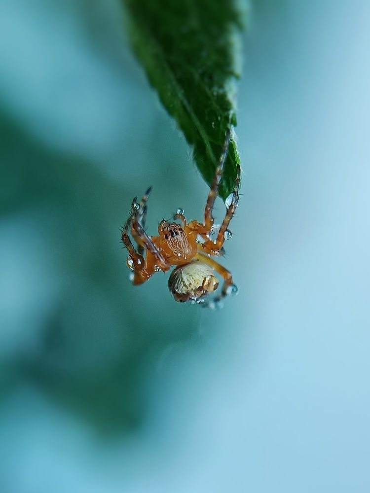 Photograph by Кристина Панченко