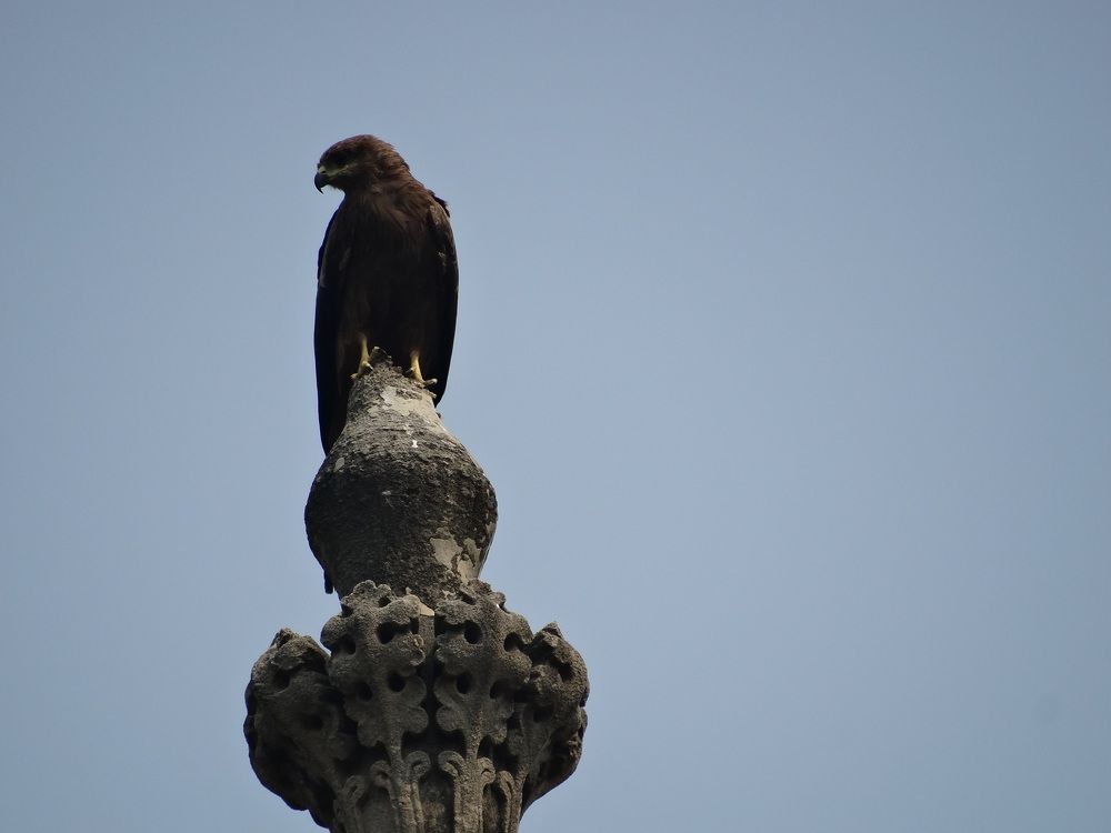 Photograph by Виктор