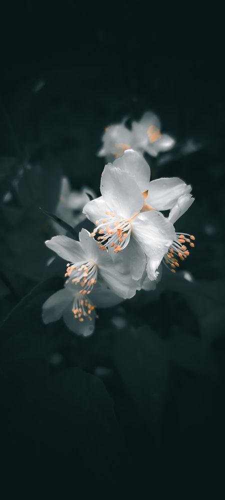 Photograph by Марина Романовская
