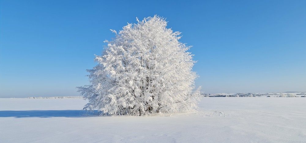Photograph by Артем Коротаев