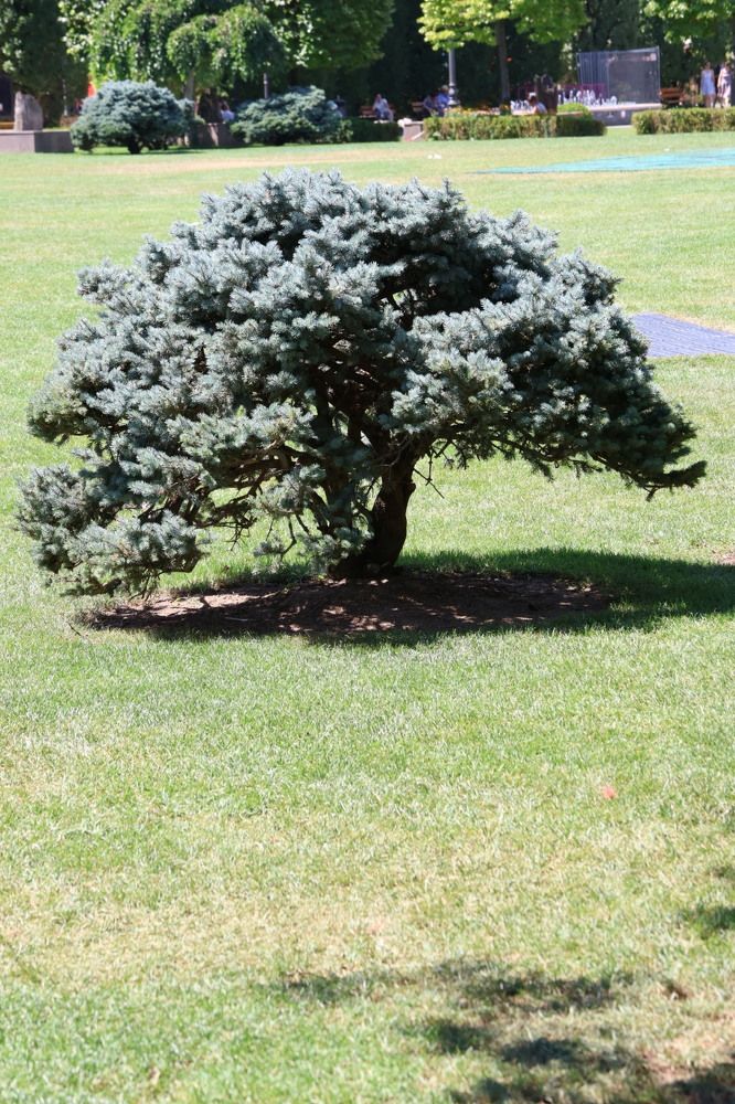 Photograph by Grădinaru Catalin