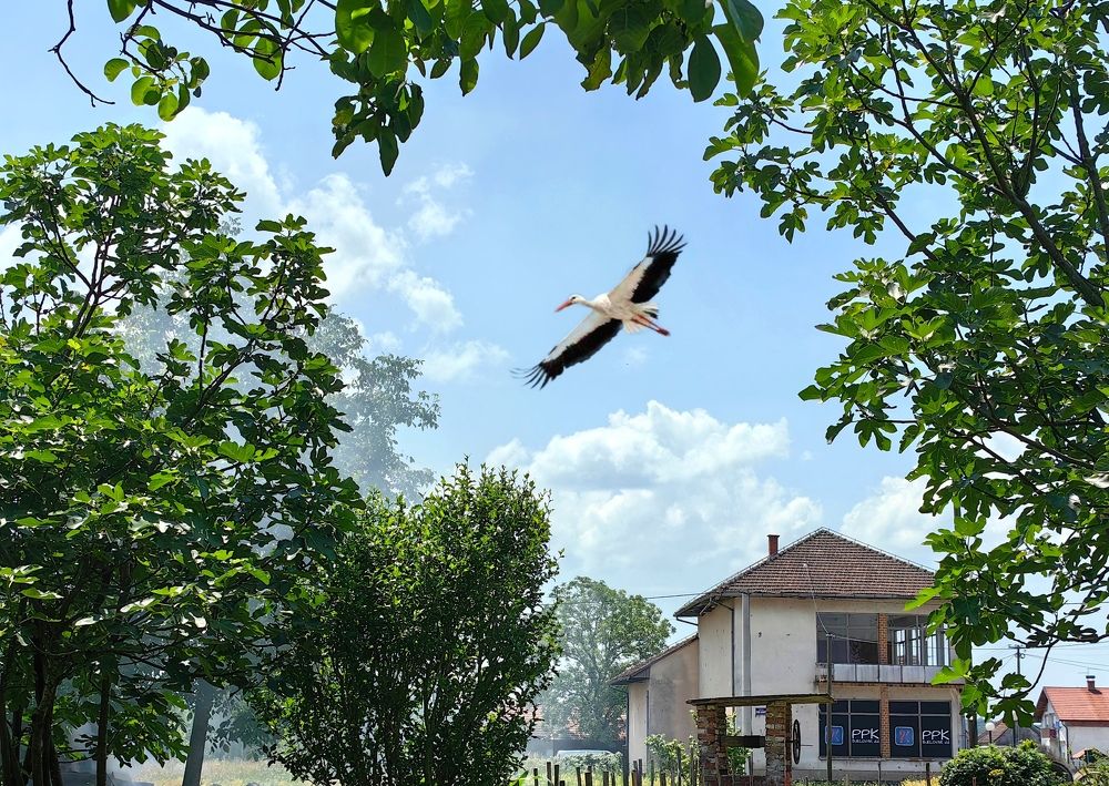 Photograph by Alen Brkić