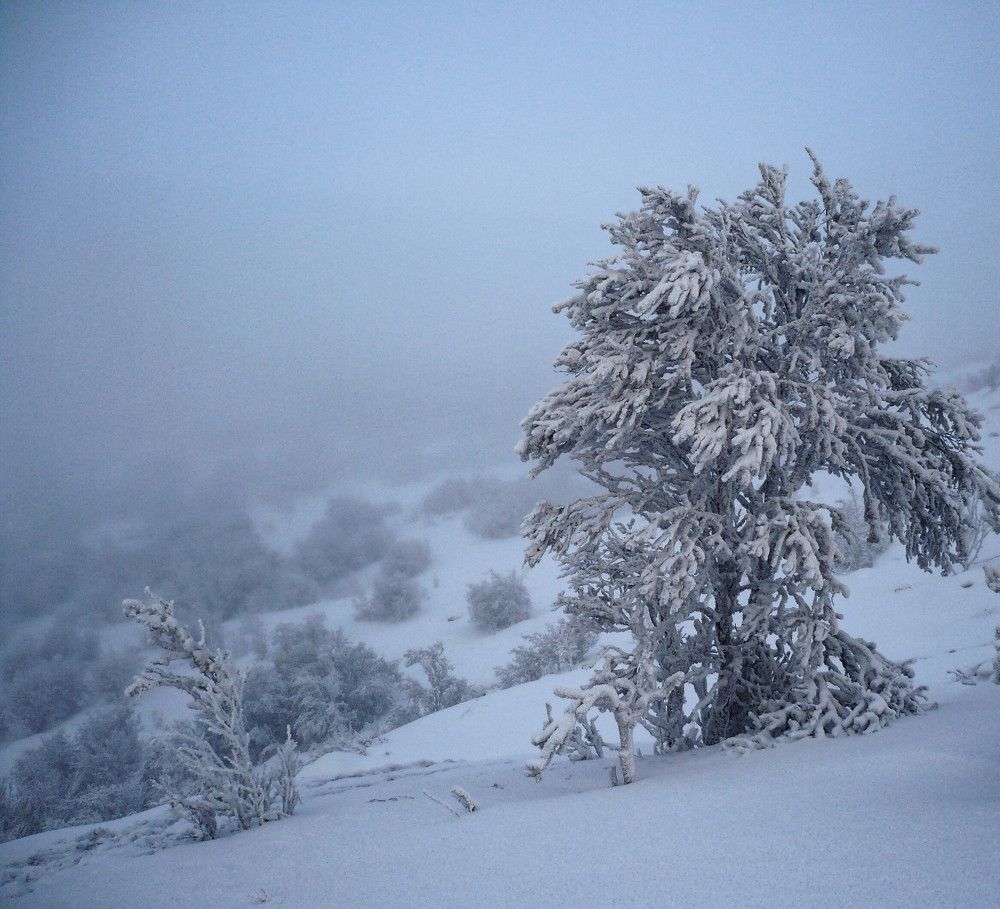 Photograph by Юрий Можейко