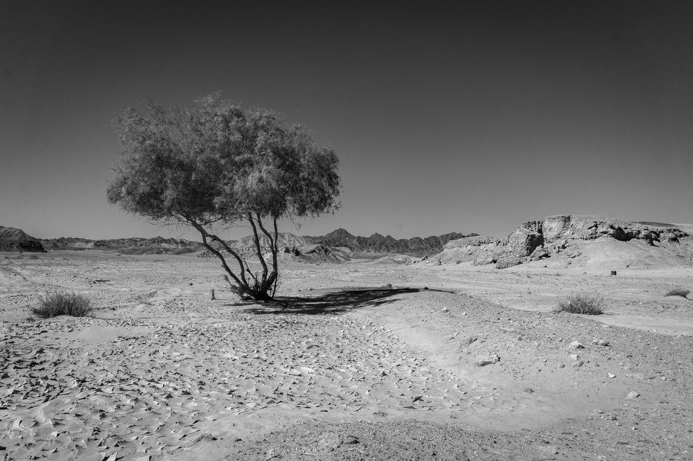 Photograph by Юрий Можейко