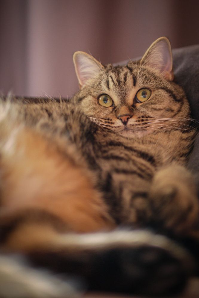 Photograph by Svetlana Storozheva