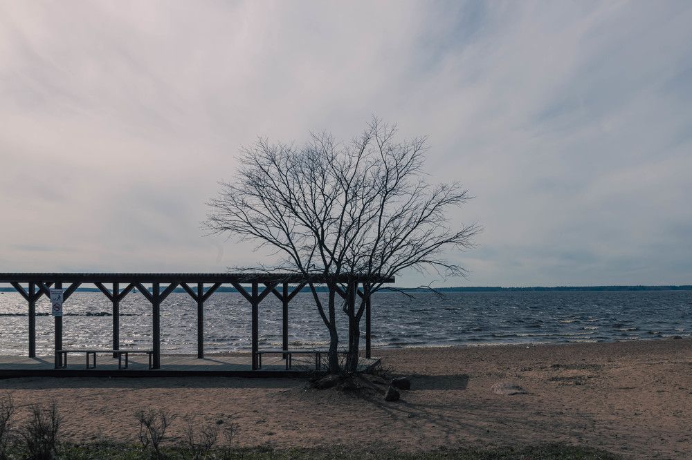 Photograph by Женя Жданова