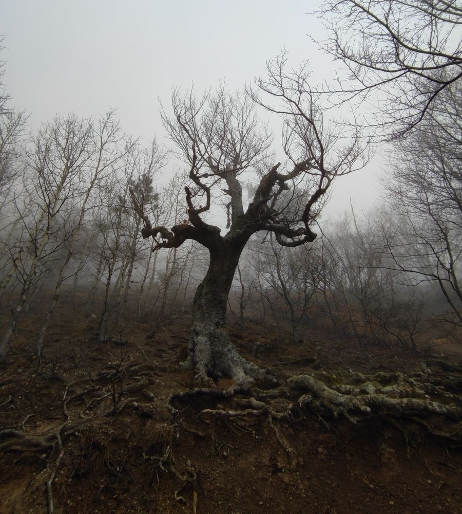 Photograph by Илья Юфа