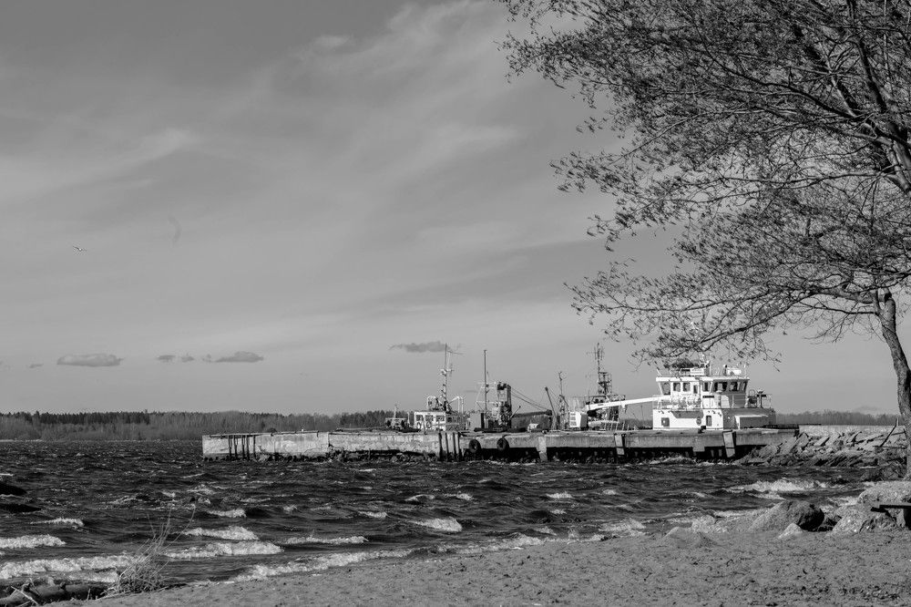 Photograph by Женя Жданова