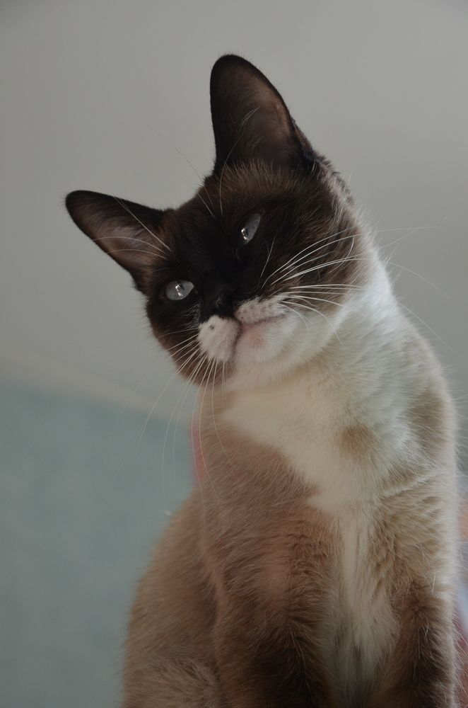 Photograph by Valentina