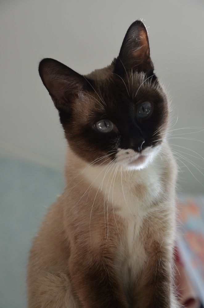 Photograph by Valentina