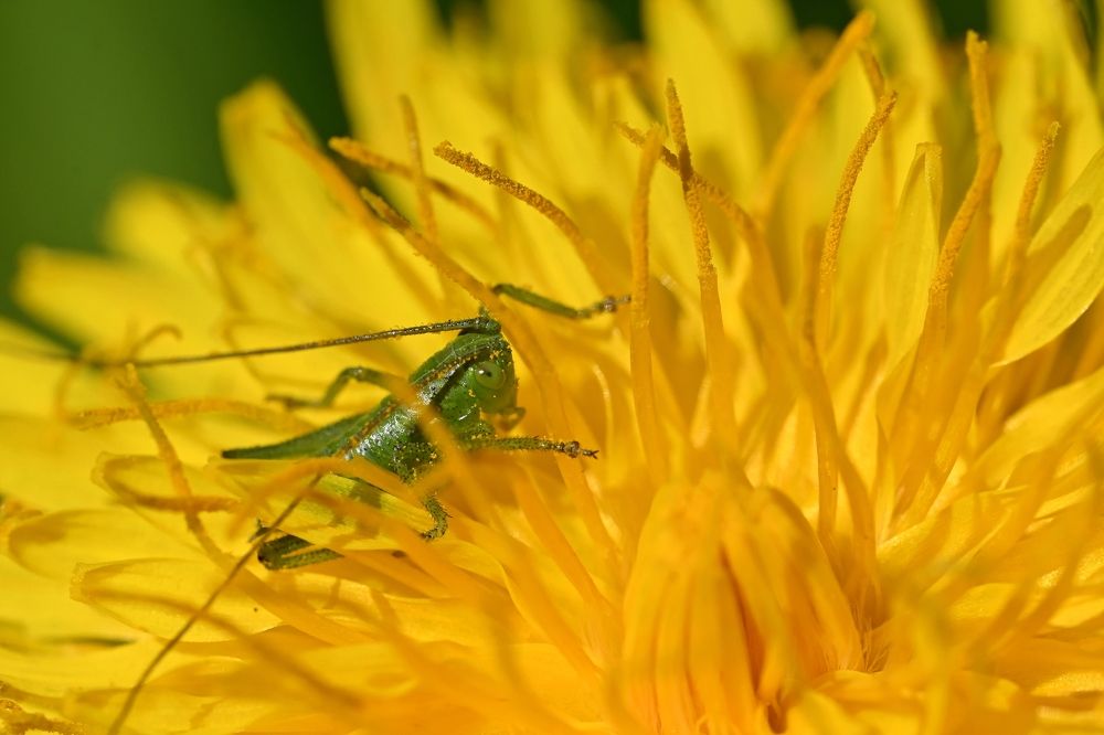 Photograph by Алексей Гордеев