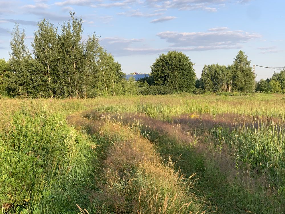 июньское утро