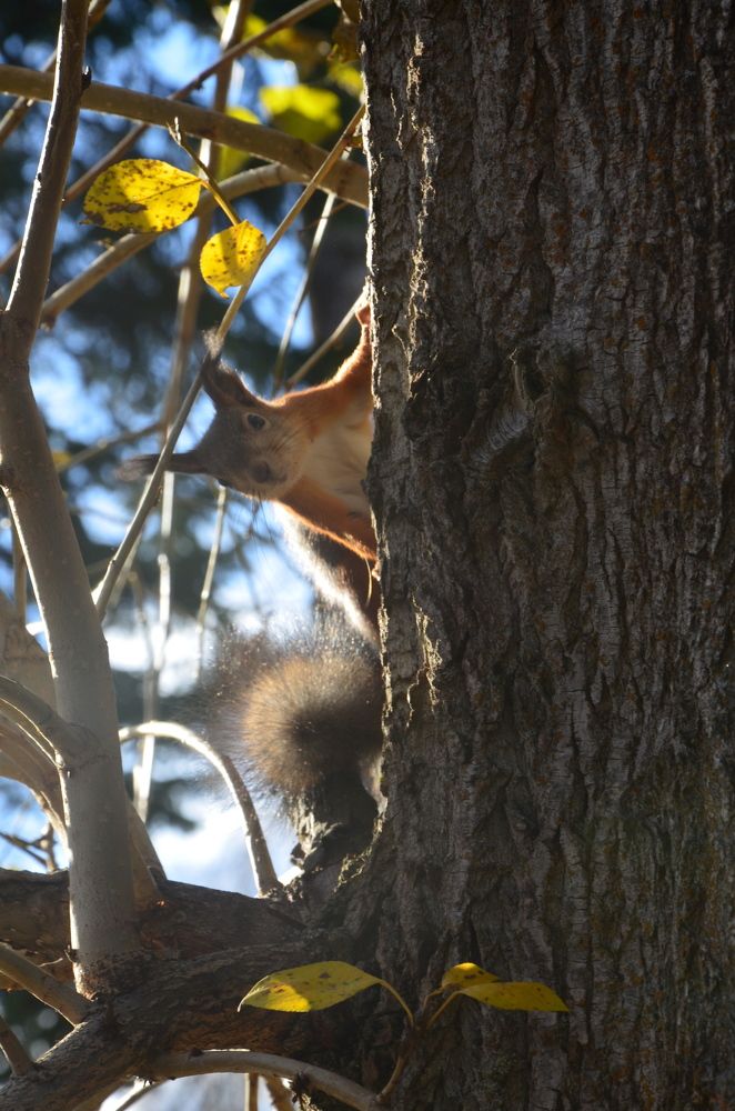 Photograph by Valentina