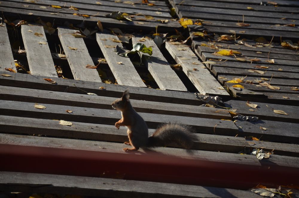 Photograph by Valentina