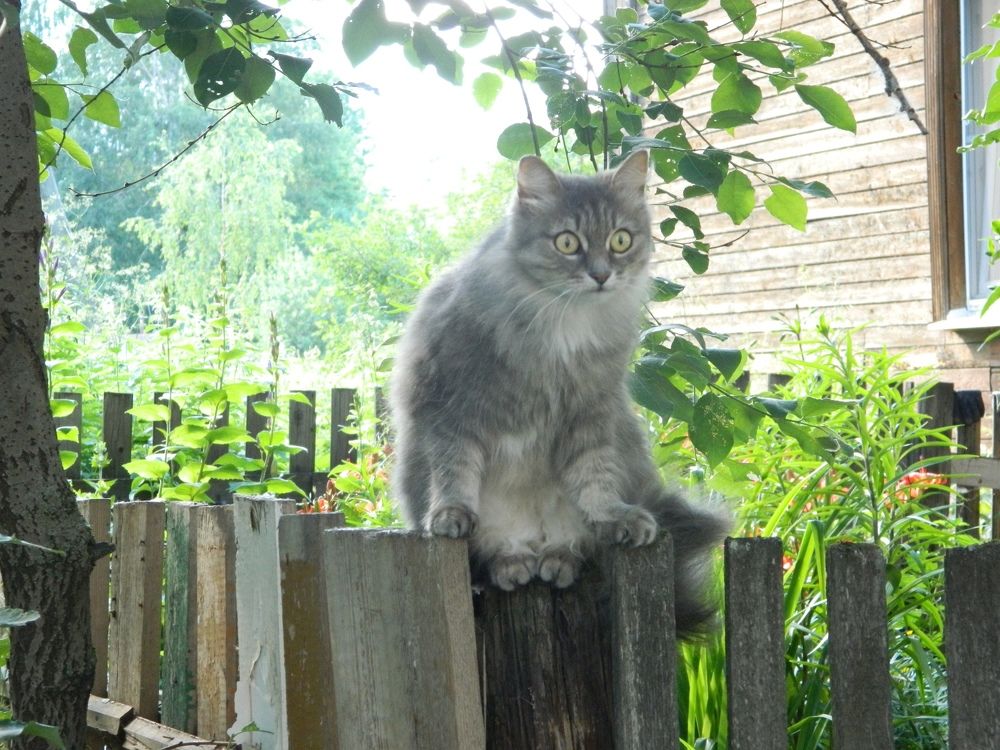 Photograph by Valentina