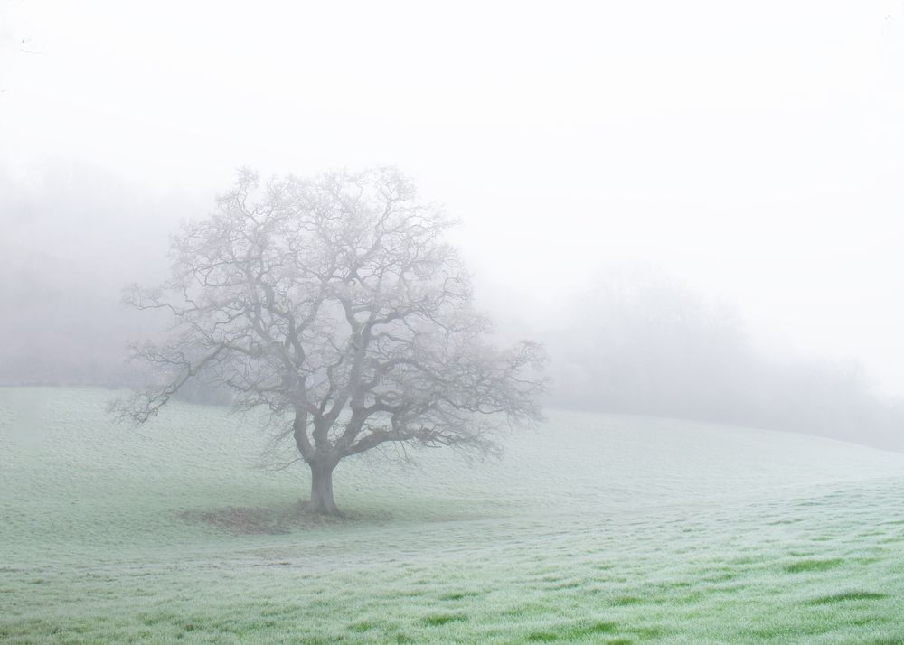 Photograph by Дьяченко Алёна