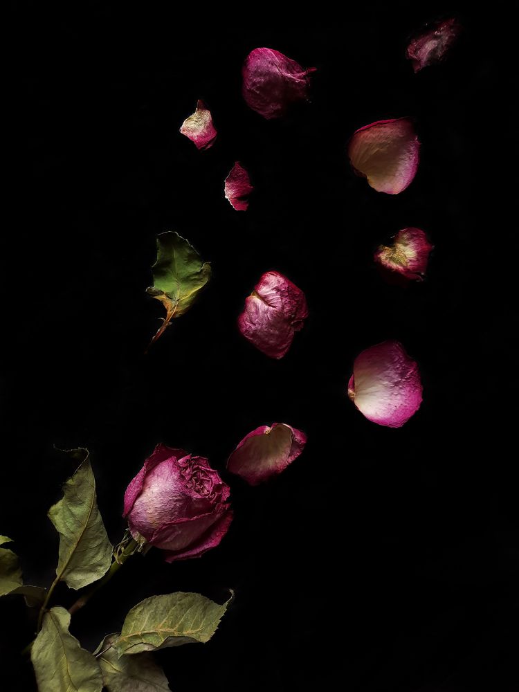 Photograph by Ирина Заворуева