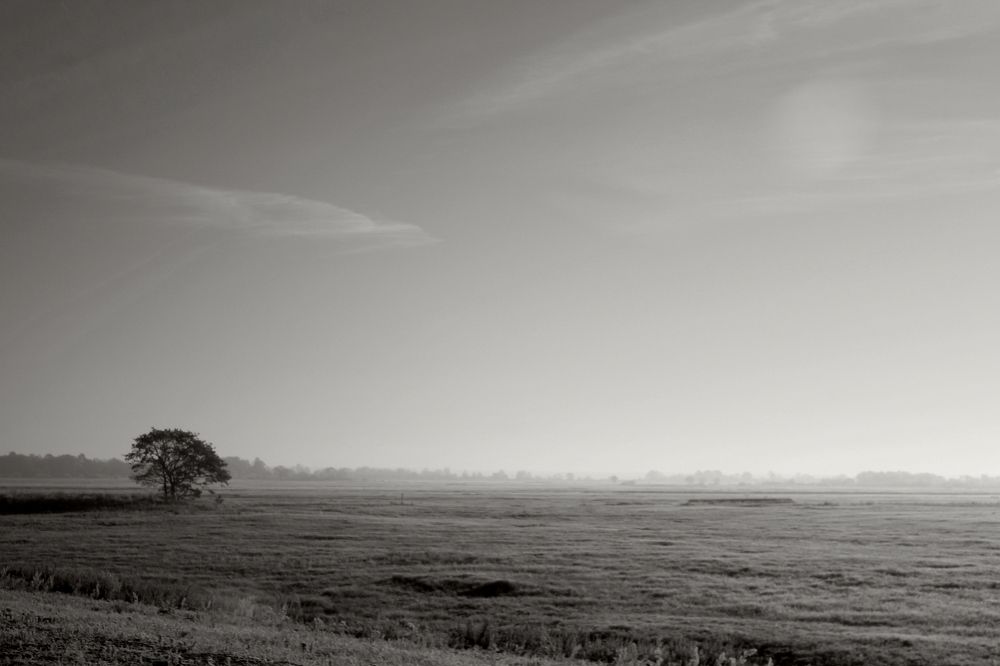 Photograph by Юлия Щетинина