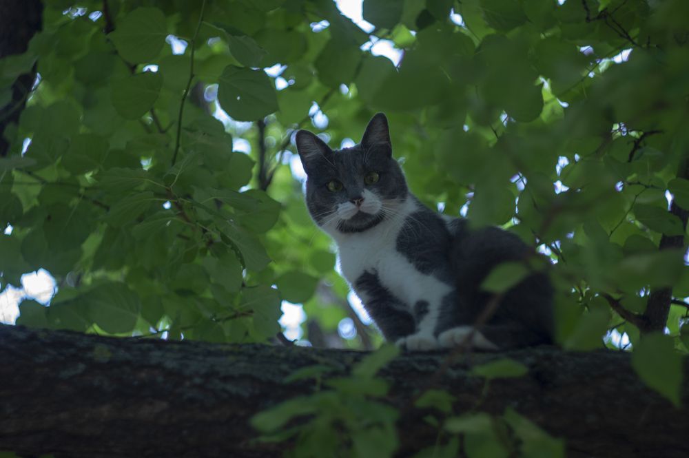 Photograph by Валерий Ворошилов