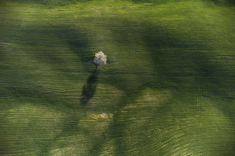 Photograph by Hanifi