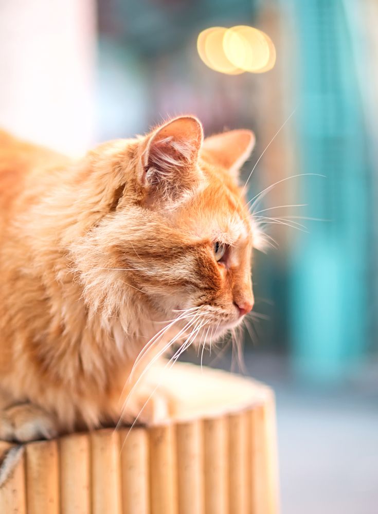 Photograph by Ксения Базарова