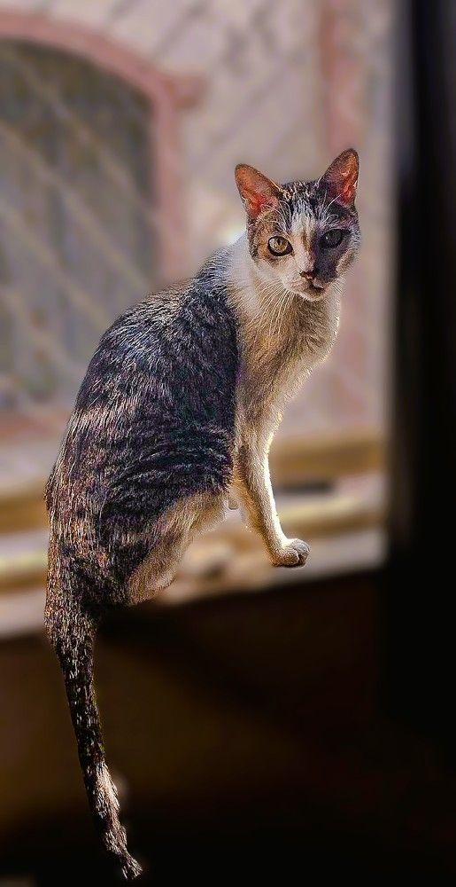 Photograph by HECTOR ANTONIO RAUCHS