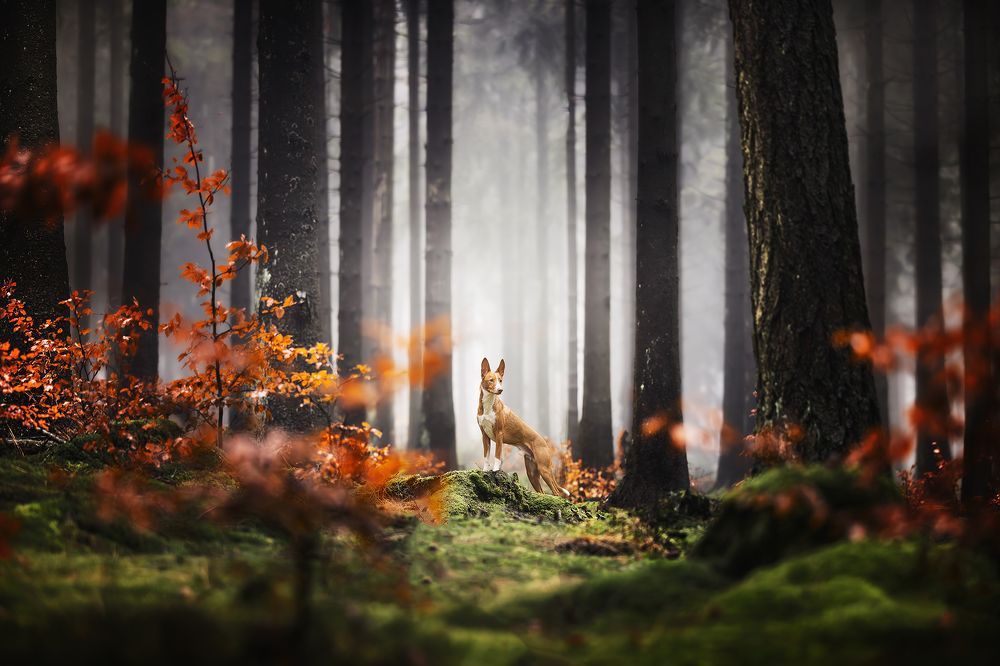 Photograph by Sylvie Lettal