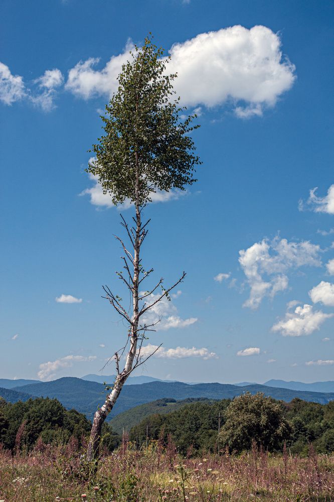 Photograph by Сергей Христинич